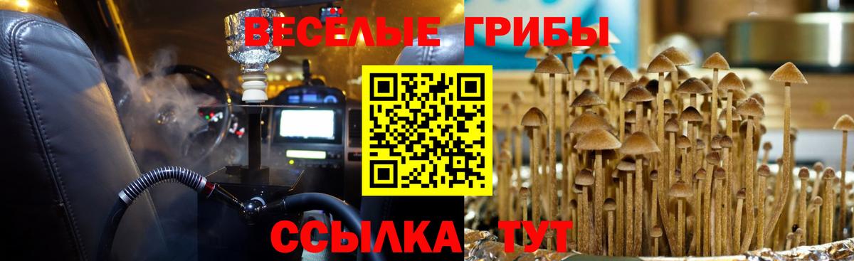 Псилоцибиновые грибы мицелий  Псилоцибиновые грибы ЛСД  Вход с VPN  Сибай 